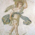 Auster
