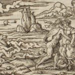 Caenis