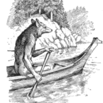 Coyote