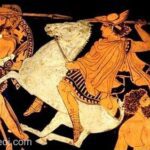 Dioscuri