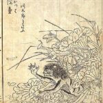 Kawaya-no-kami